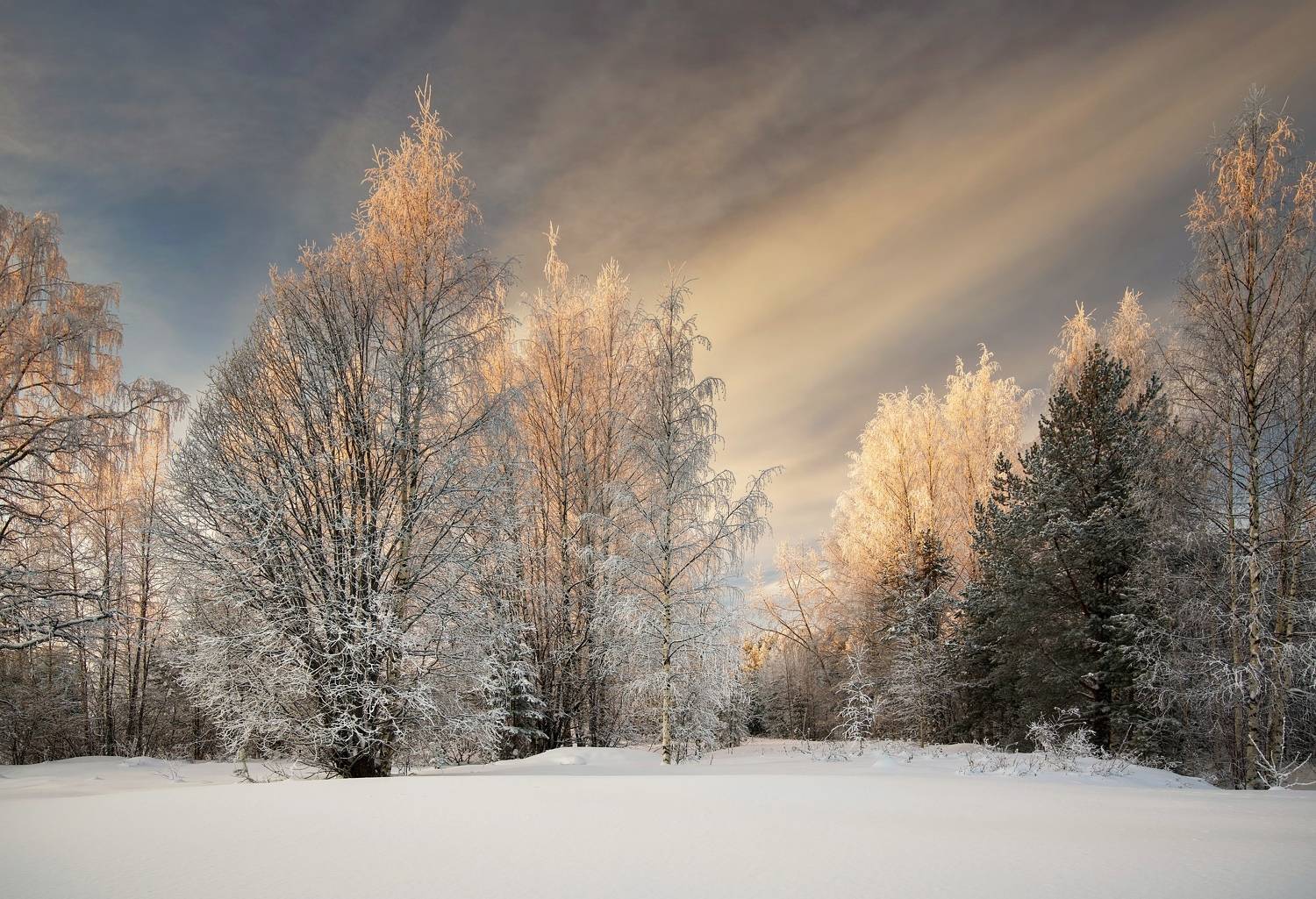 , Шишпанов Игорь