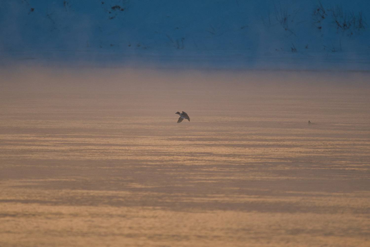 , Большаков Алексей