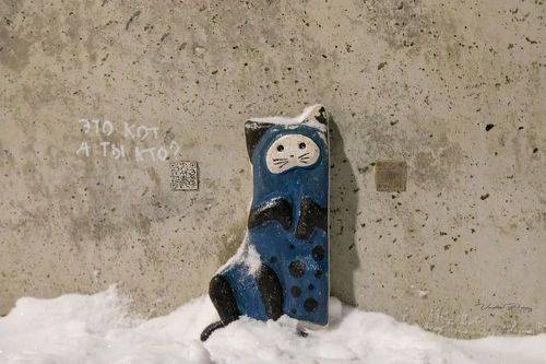 «Зеленоградский кот»