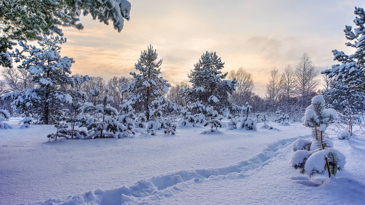 , Людмила Железнова