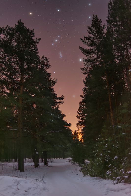 Январский Орион фото превью