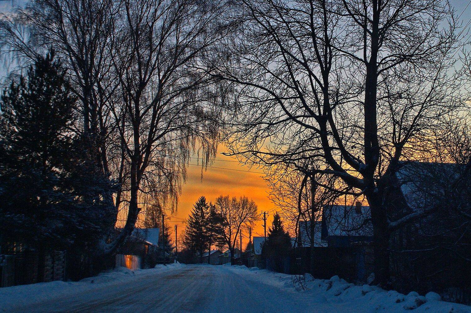 , Николаев Владимир