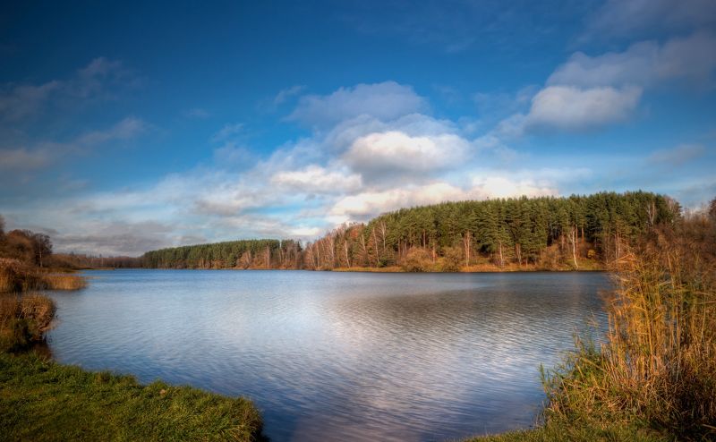 осень, озеро, небо, На берегу озера фото превью