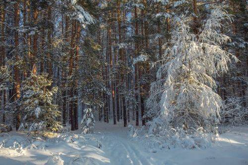 Принарядилась.
