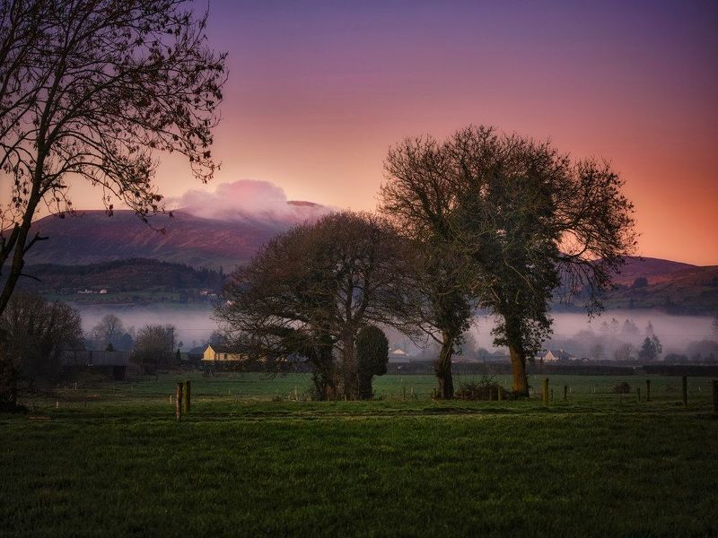 The fog фото превью