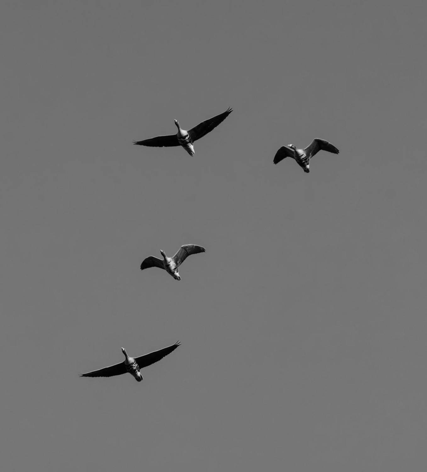 , Савенко Кирилл