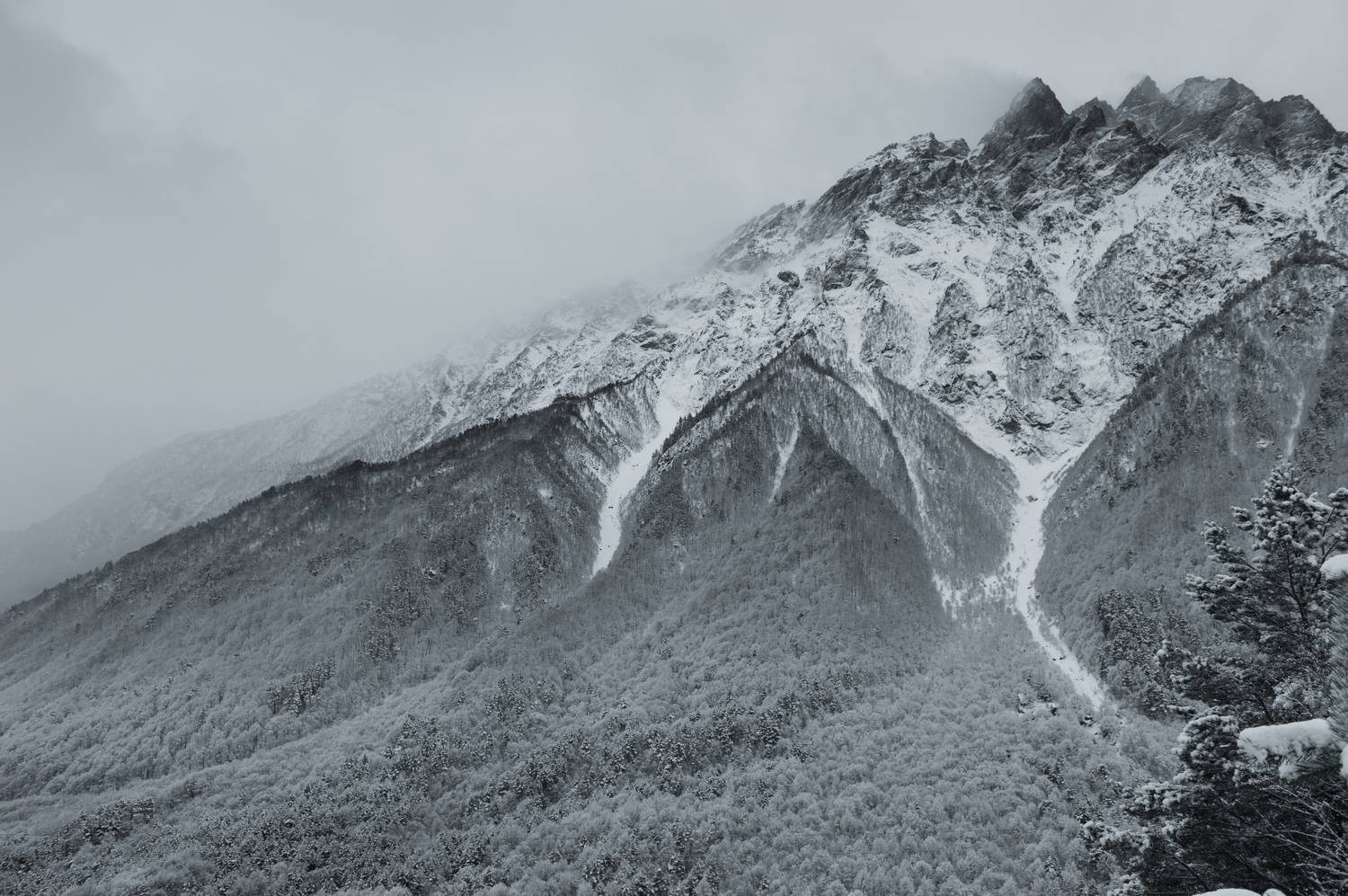 , Табуев Батраз