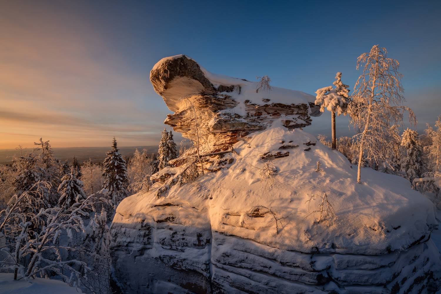 , Максим Евдокимов