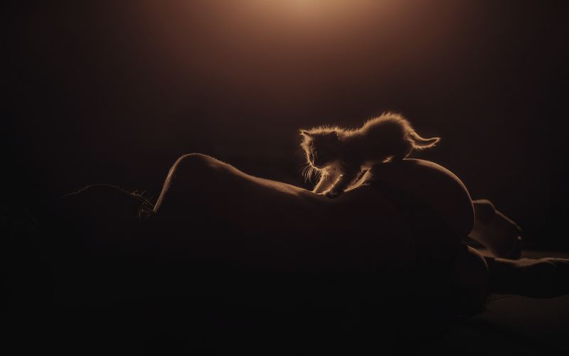 свет и тени фото превью