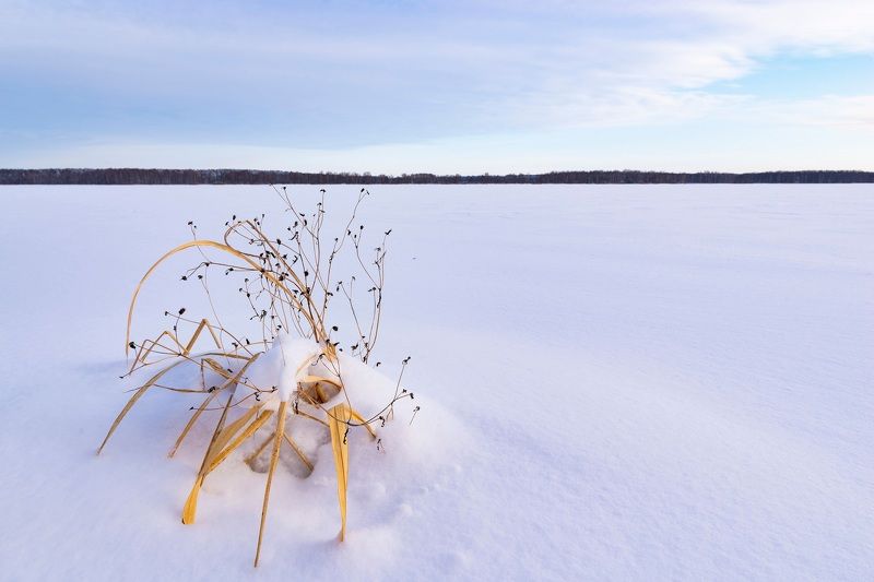 Пришелец фото превью