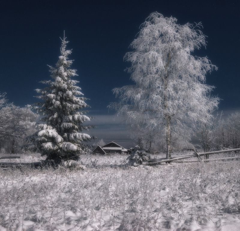 Декабрь в лунном свете фото превью