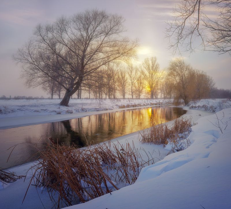 snow, nature, winter, evening, sunset, river *** фото превью
