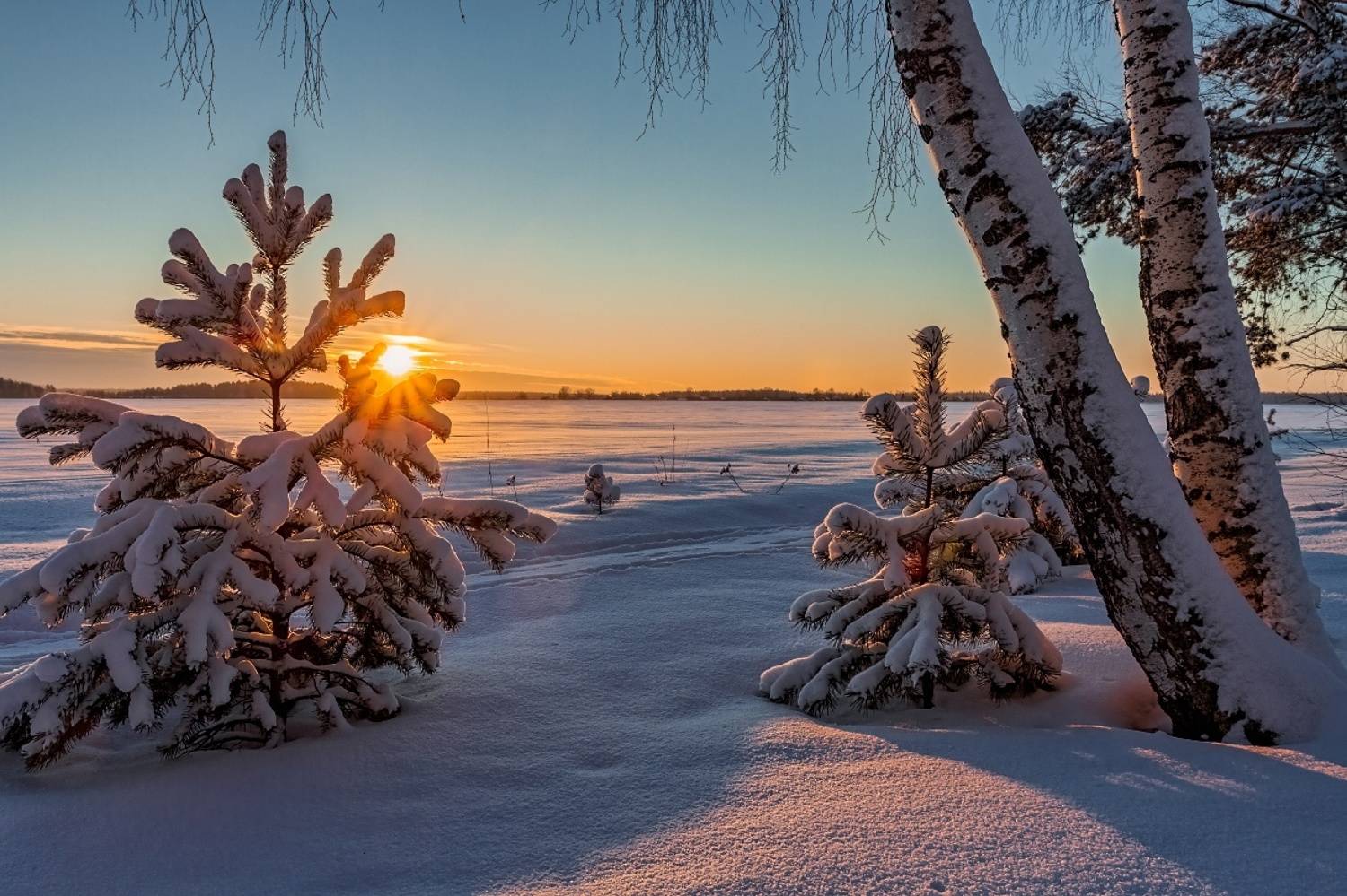 , Евгений Ерохин