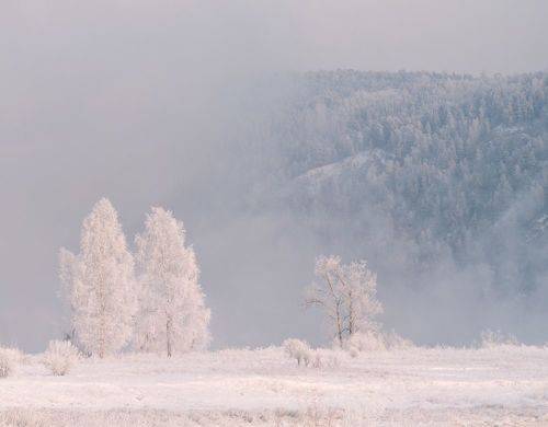 Зимний полдень. / Winter midday.