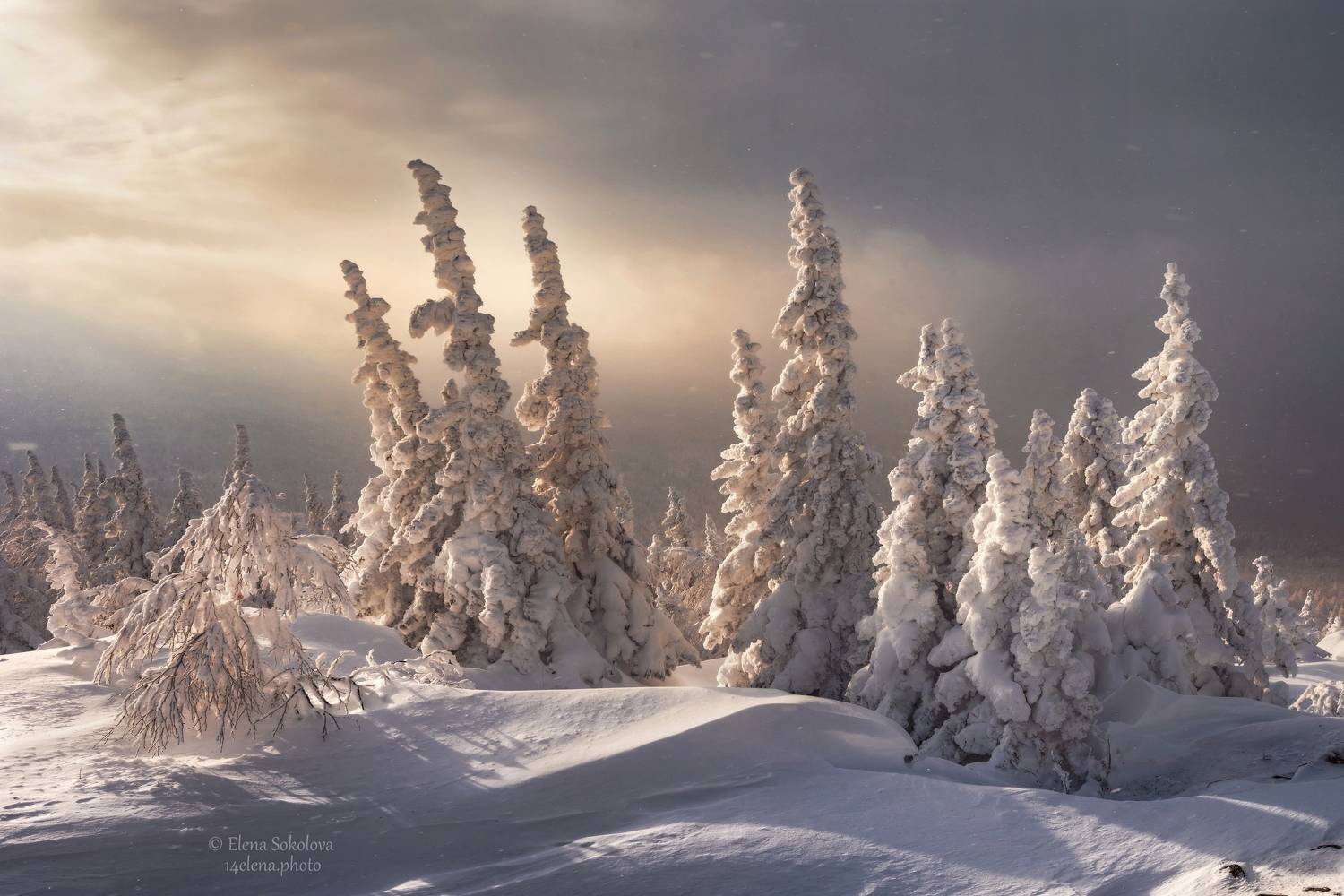 уреньга, хребет, горы, зима, пейзаж, снег, лес, Соколова Елена