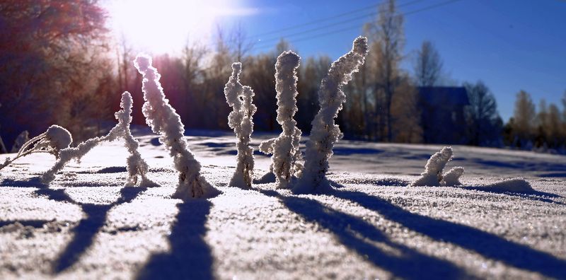Зимний этюд. фото превью