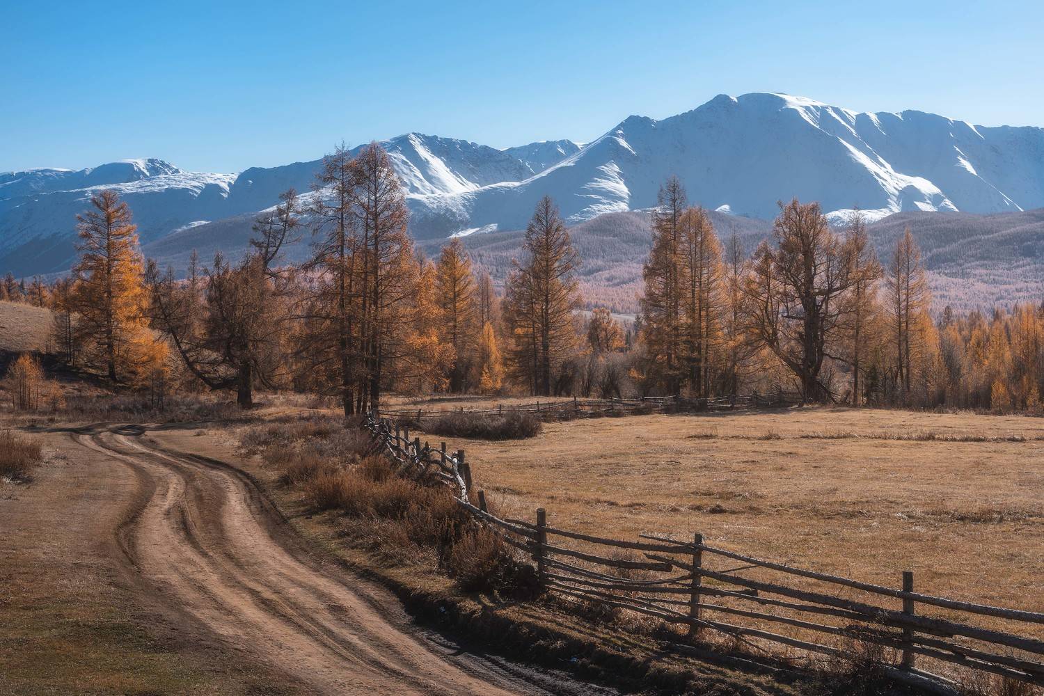 , Евгений Важенин
