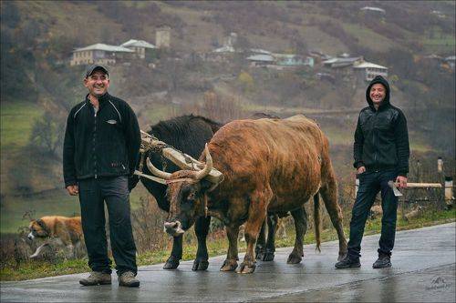 Жизнь в глазах ..