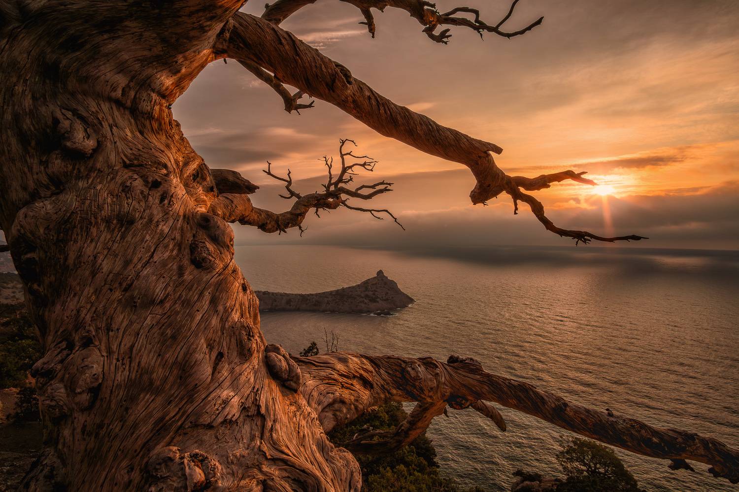 , Кривцов Андрей