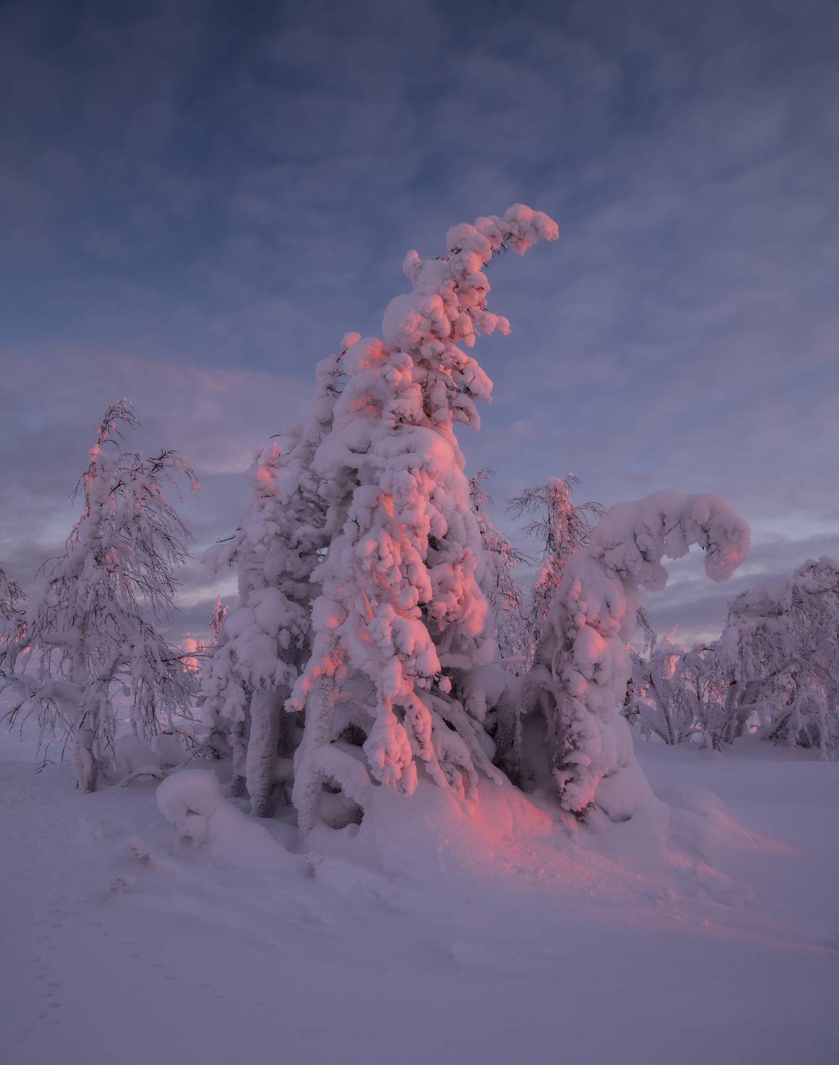 , Истомин Виталий