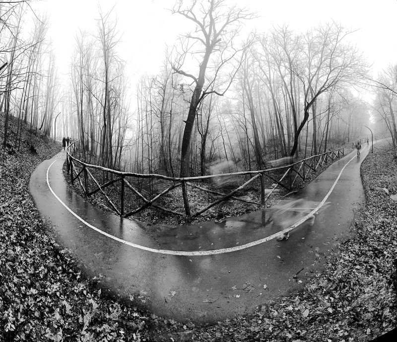 Тропа фото превью