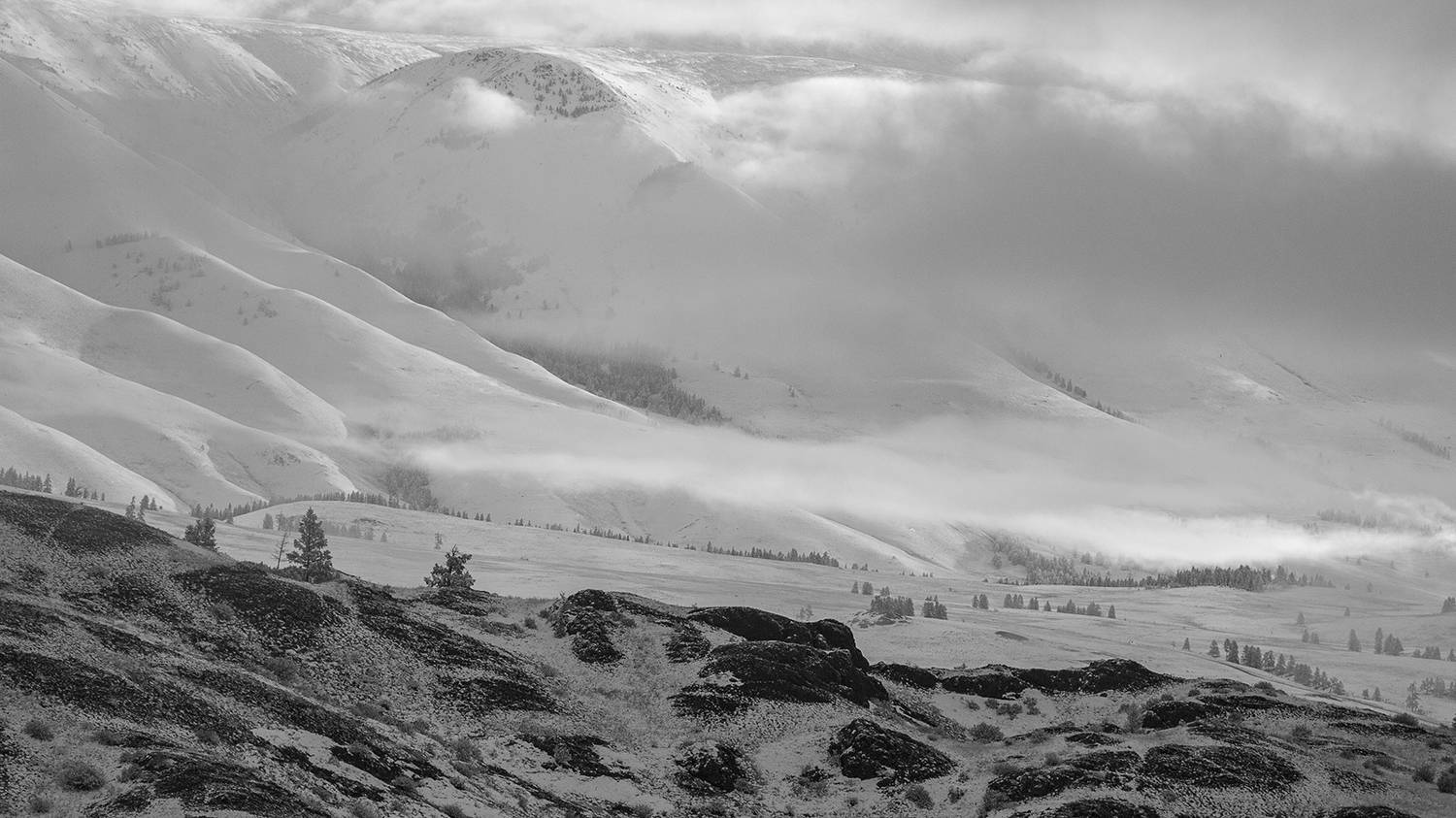 черно-белое, пейзаж, горный алтай, россия,, Сергей Шульга