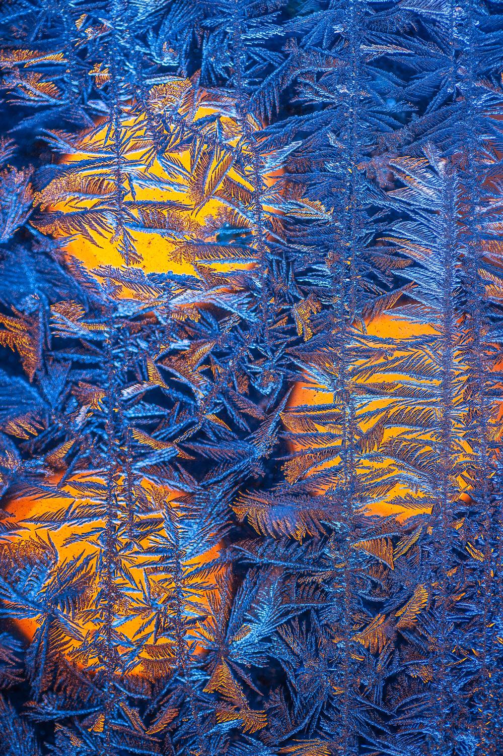 узоры, мороз, узоры на стекле, макро, природа, Мартыненко Дмитрий