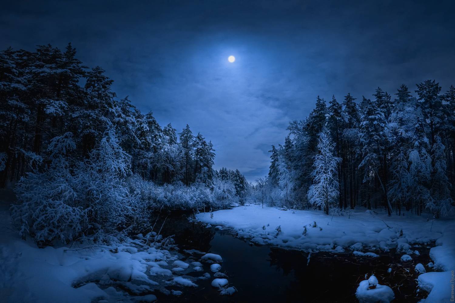 , Евгений Луцко