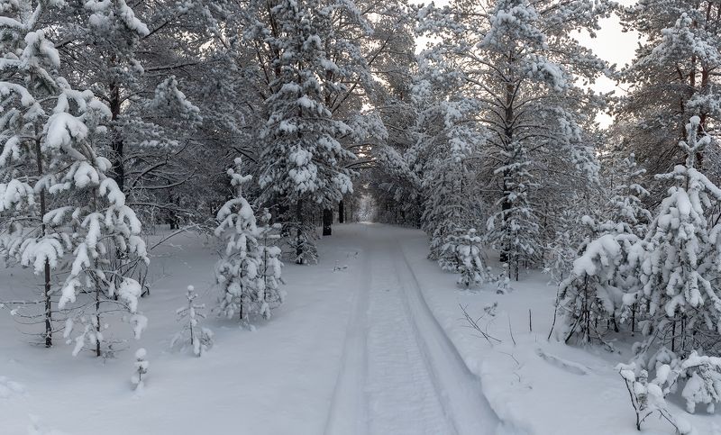 Дорога к дому. фото превью