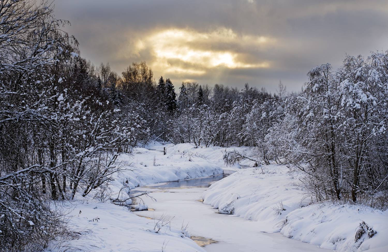 , Павлов Дмитрий