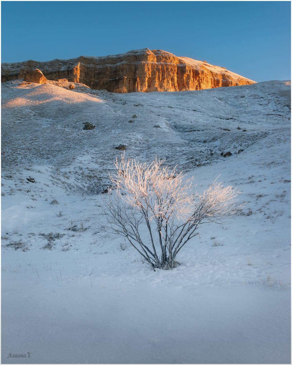 , Алиева Татьяна