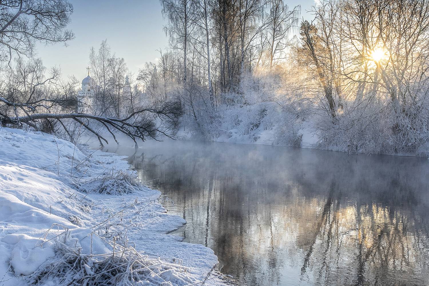 , Добродий Михаил