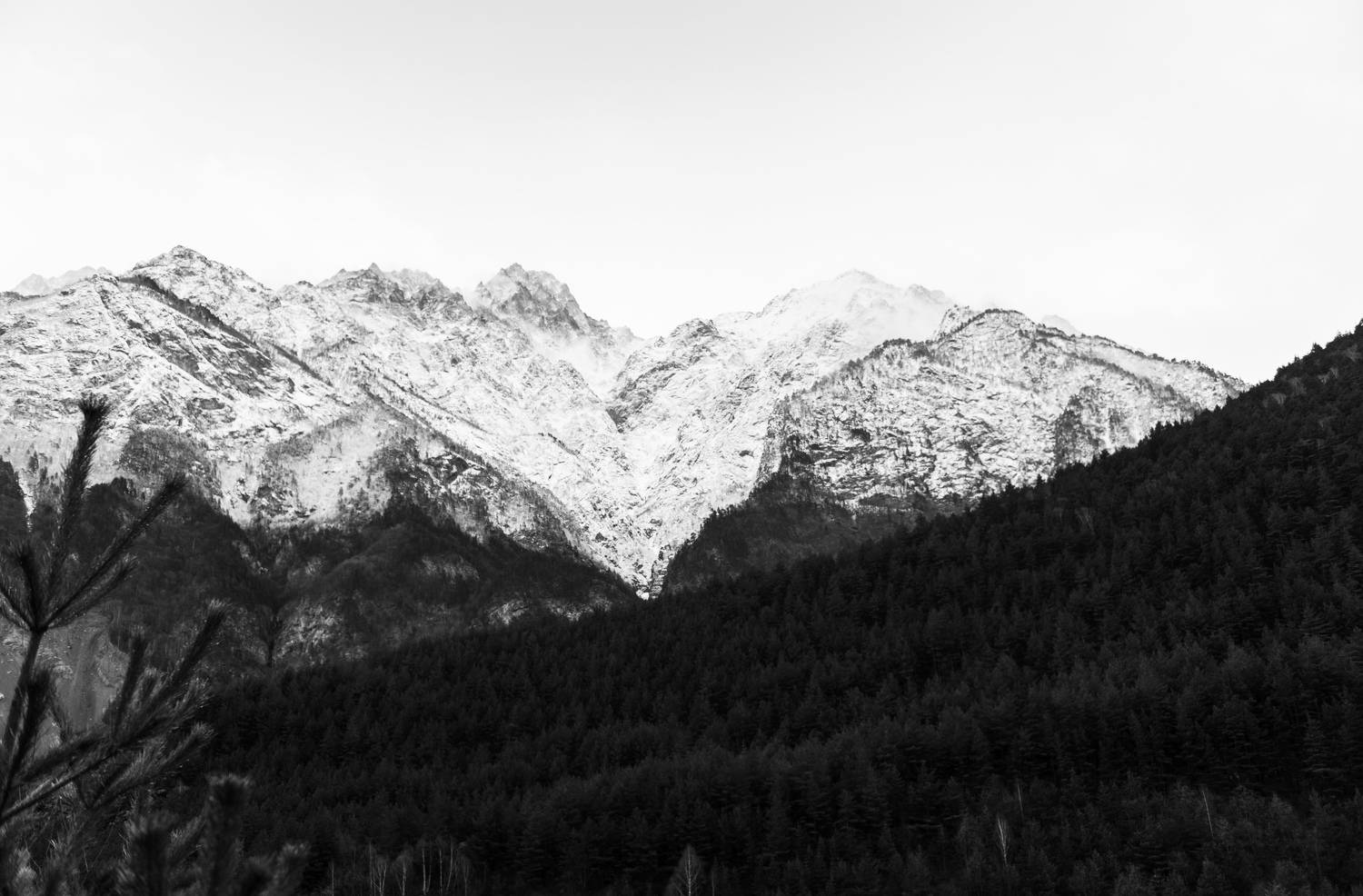 , Табуев Батраз