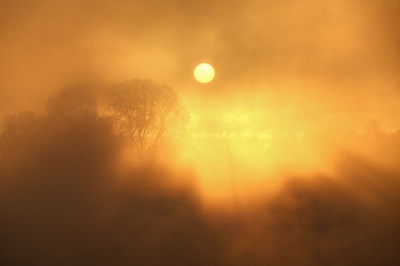 К солнцу... фото превью