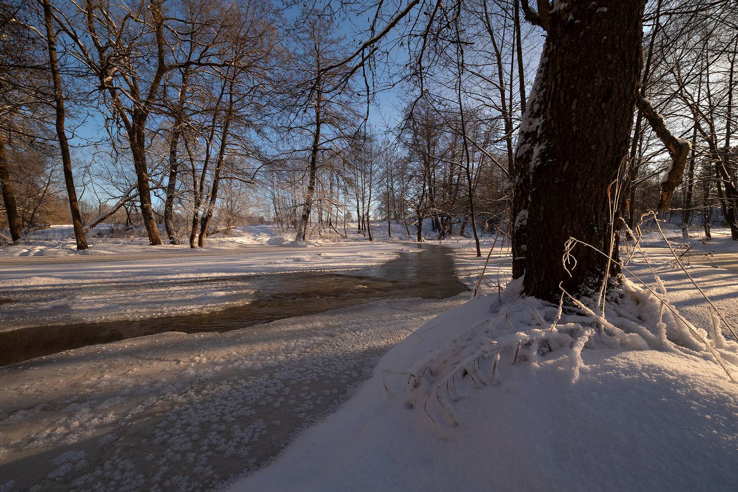 , Стрельцов Виталий
