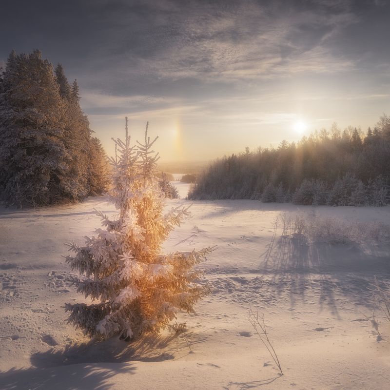 Солнечное гало фото превью