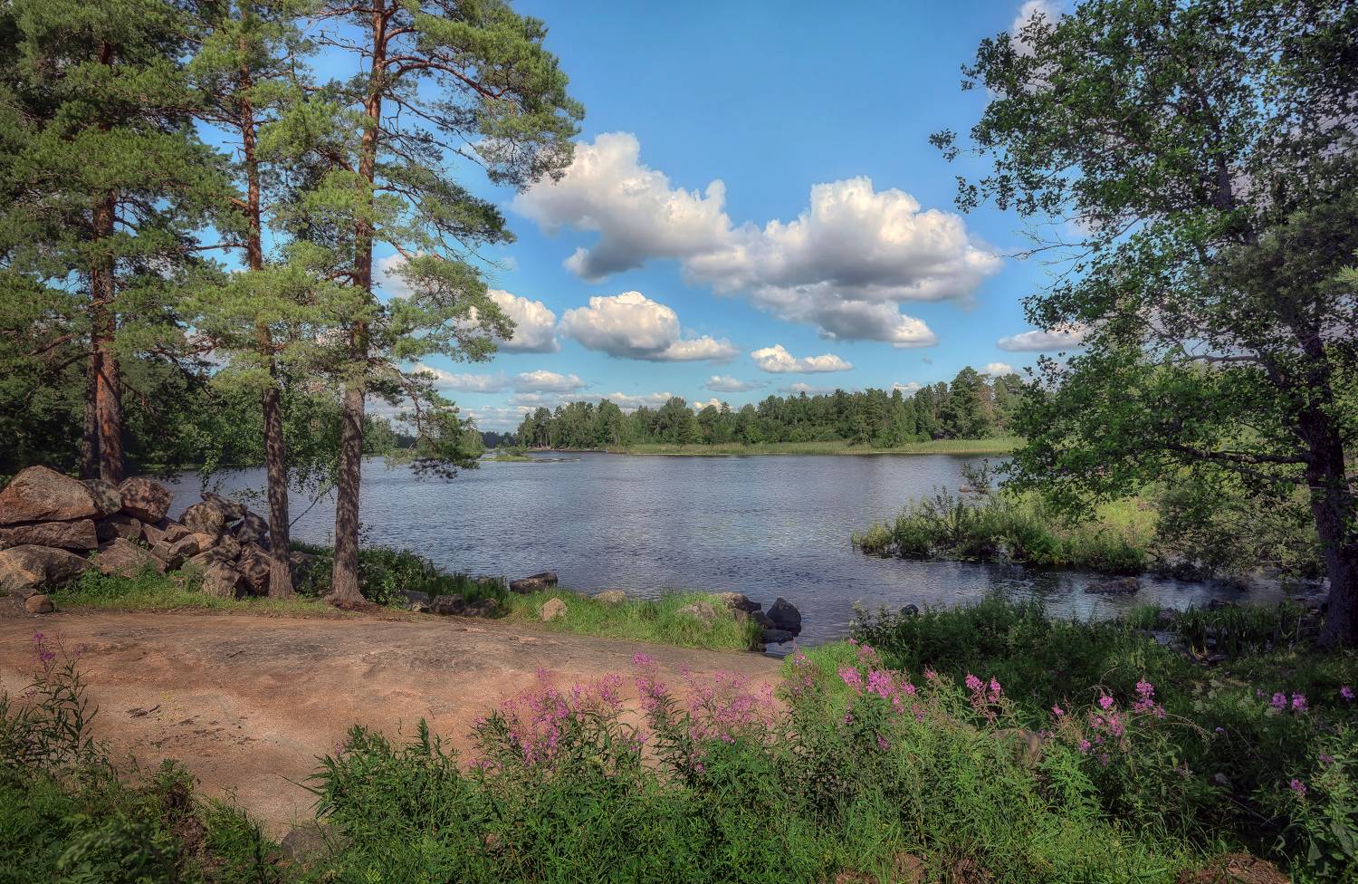 озеро, сосны, вуокса, Сергей Аникин