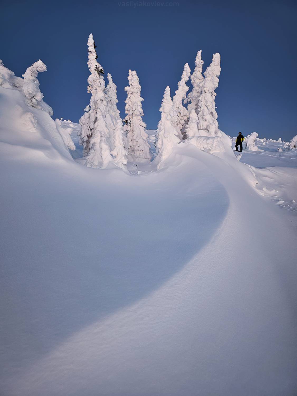 гух, фототур, яковлевфототур, урал, север, зима, Василий Яковлев