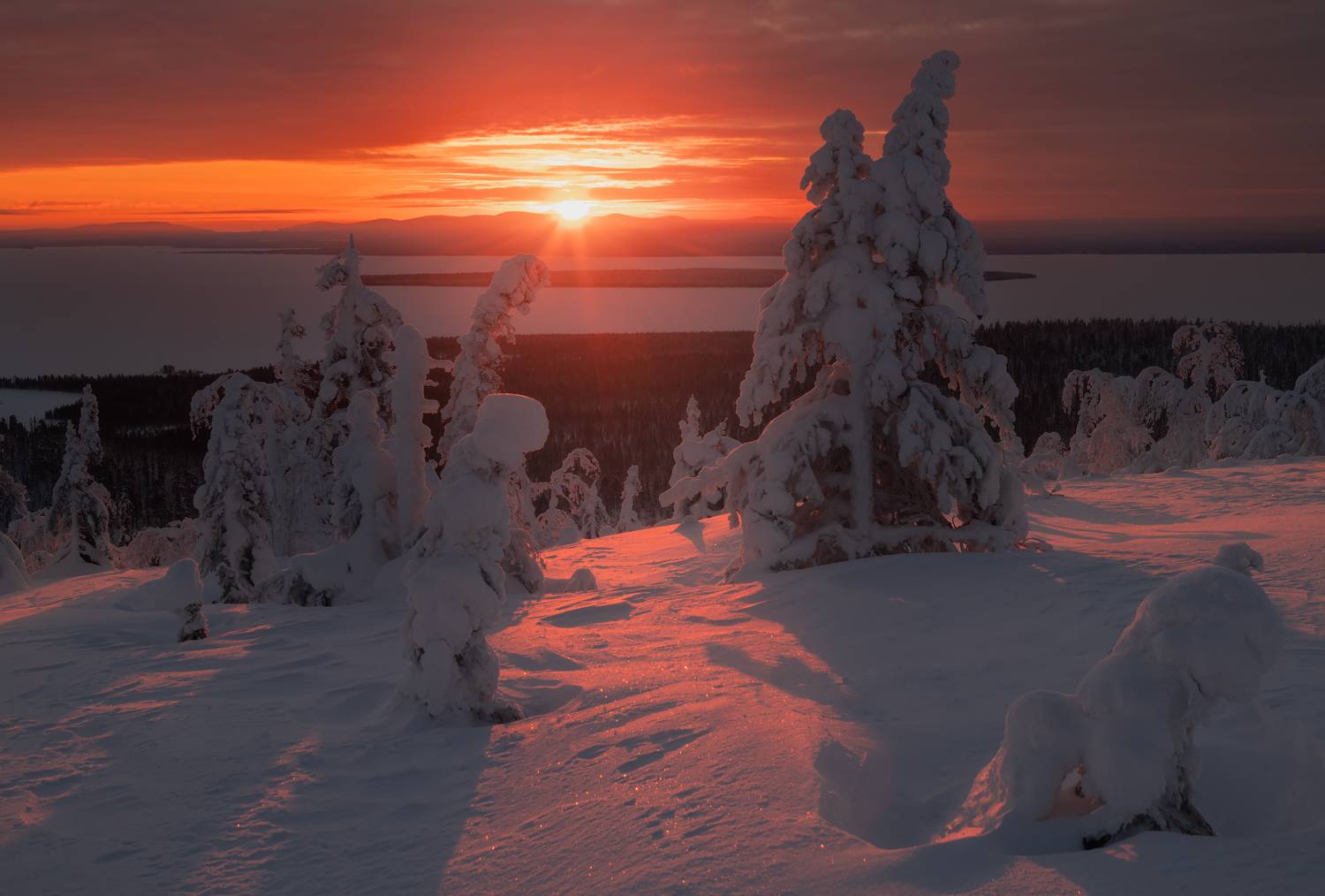 , Истомин Виталий