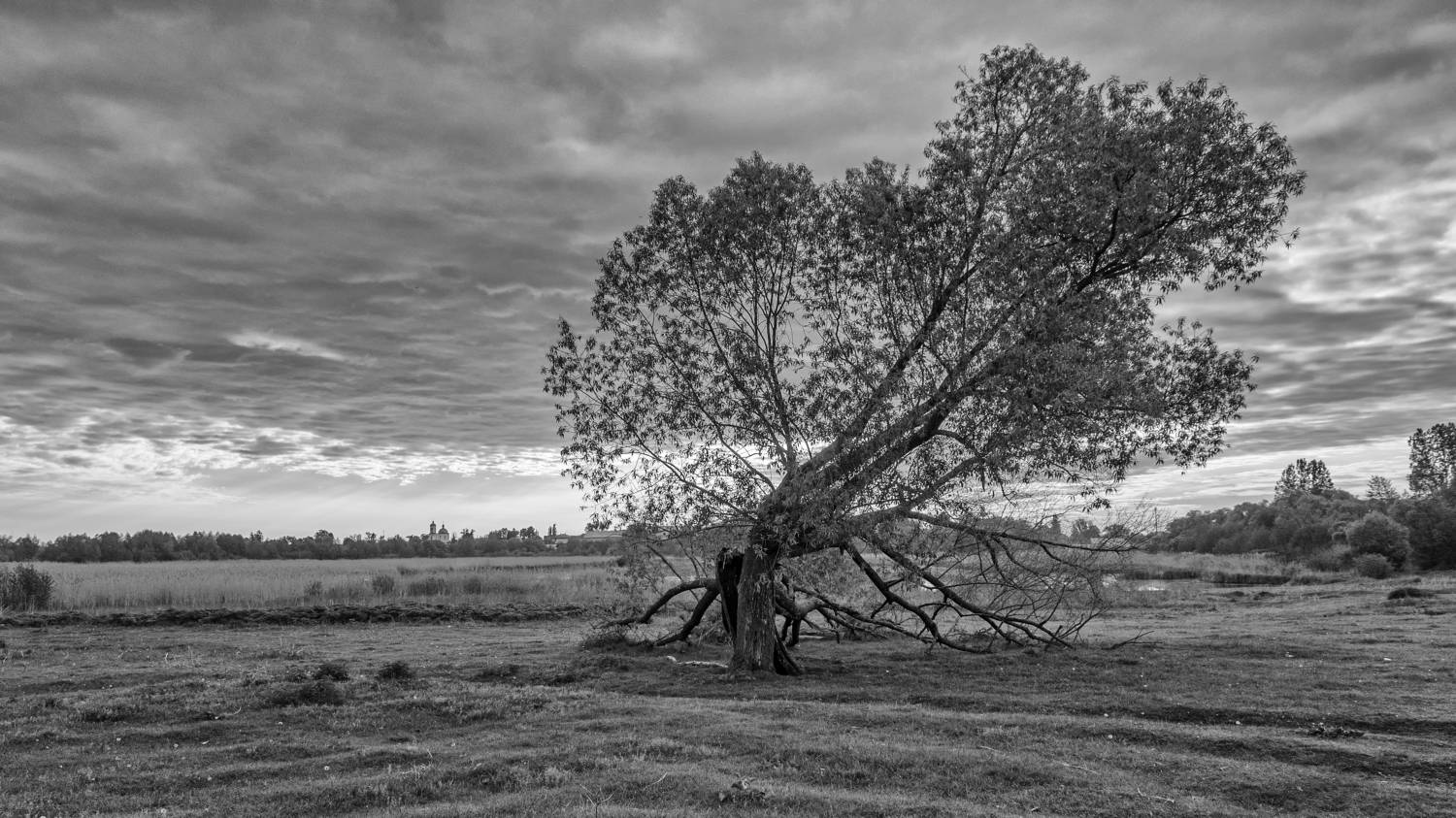 , Гайдук Евгений