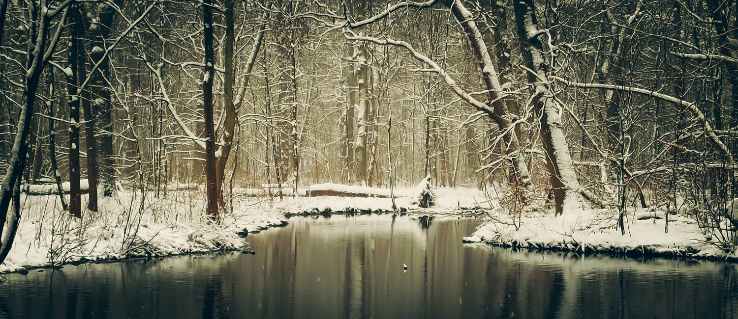 , Игорь Дубровский