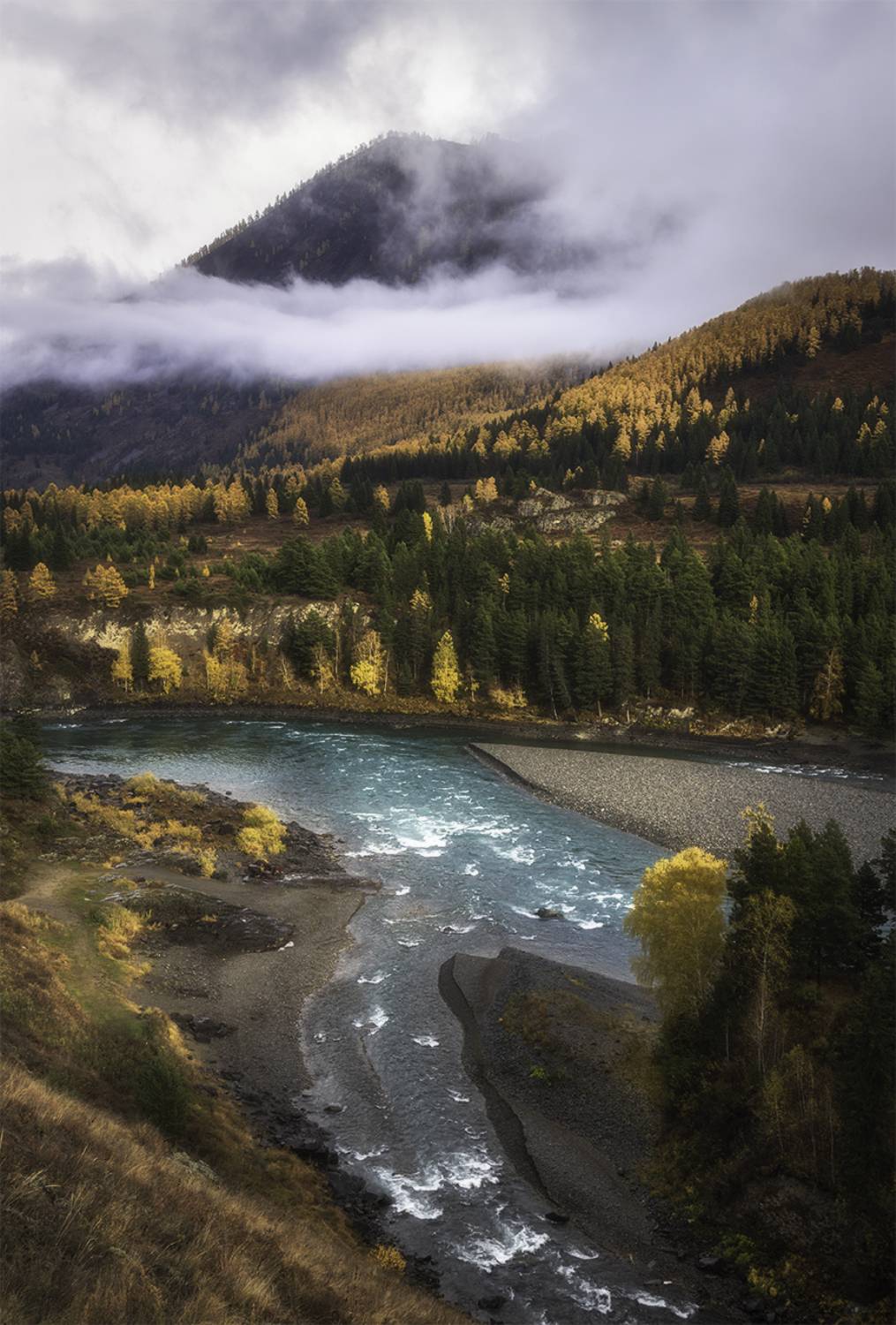 алтай, горный алтай, пейзажи алтая, онгудайский район, горная река, золотая осень, горы, осенний алтай, горная тайга, катунь, Рубан Алена
