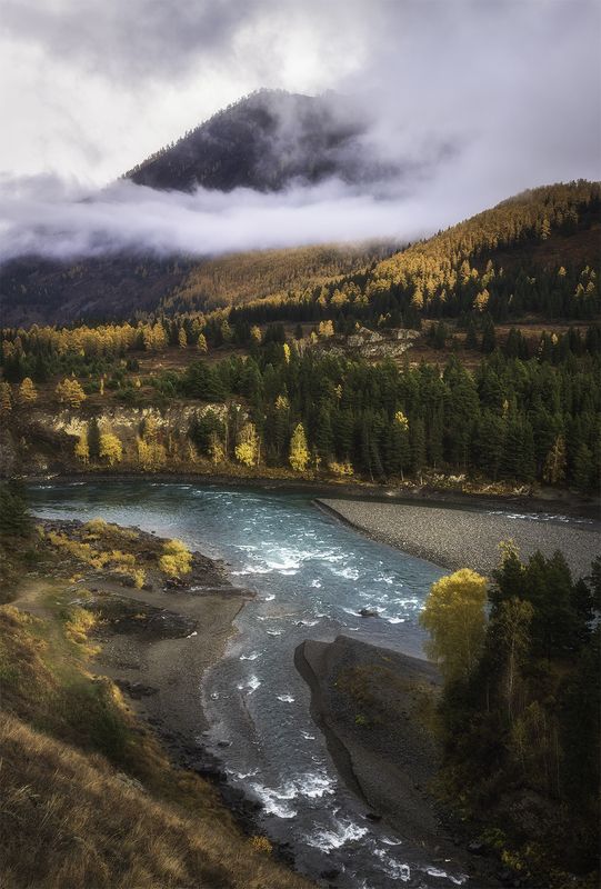 алтай, горный алтай, пейзажи алтая, онгудайский район, горная река, золотая осень, горы, осенний алтай, горная тайга, катунь На стрелке рек фото превью