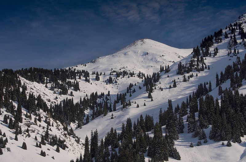 В ущелье р. Ким-Асар фото превью