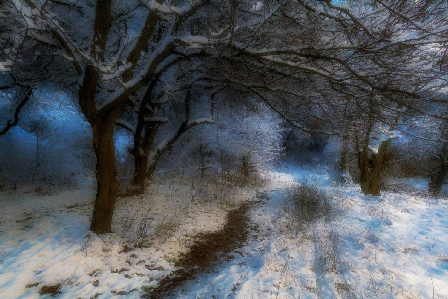 , Лысенко Сергей