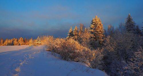 На зимнюю рыбалку