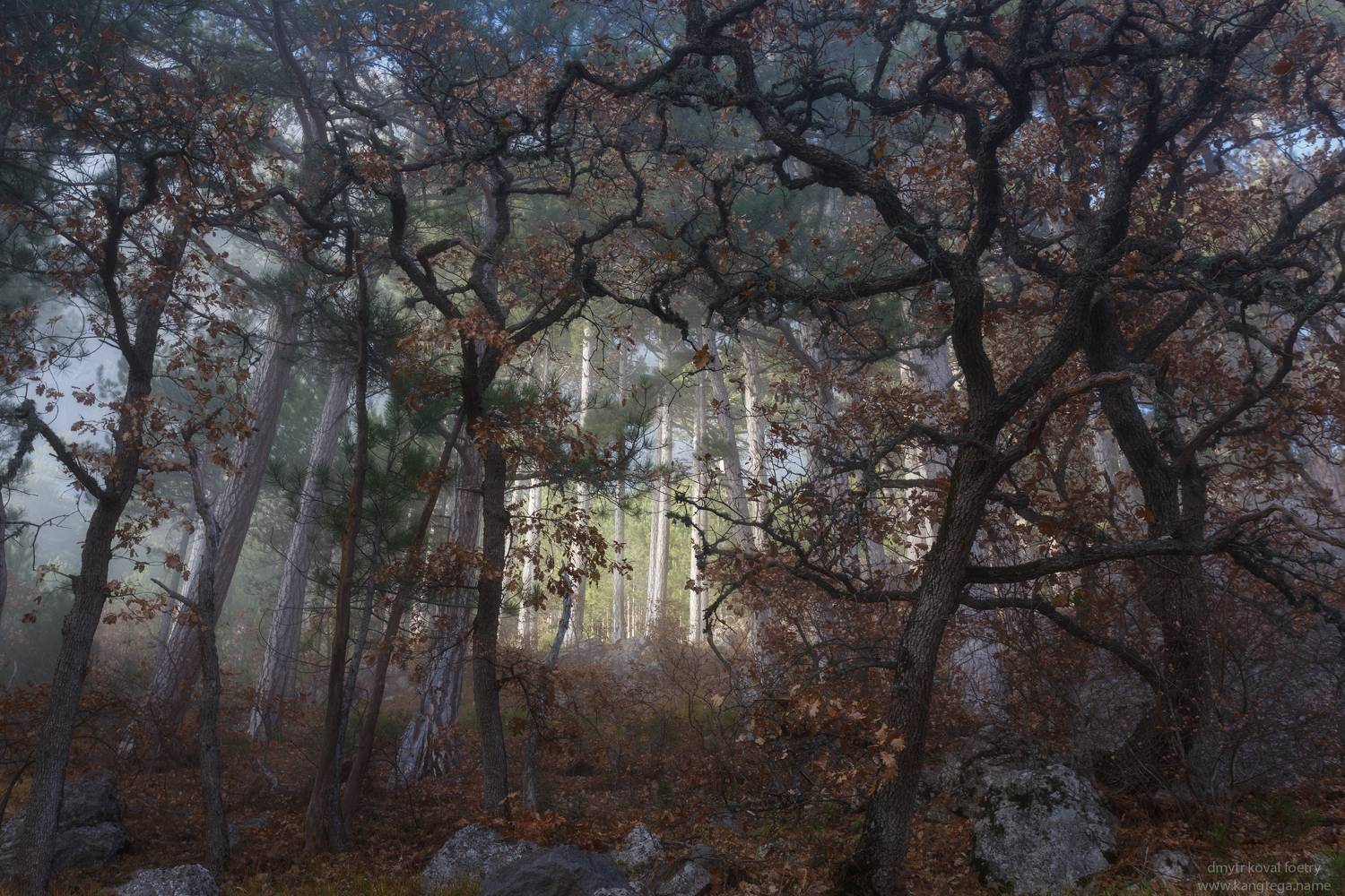 пейзажемагьё, пейзаж-как-виденье, Коваль Дмитр