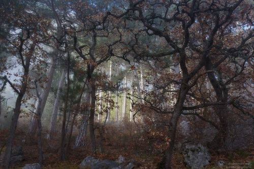 The Temple_Храм