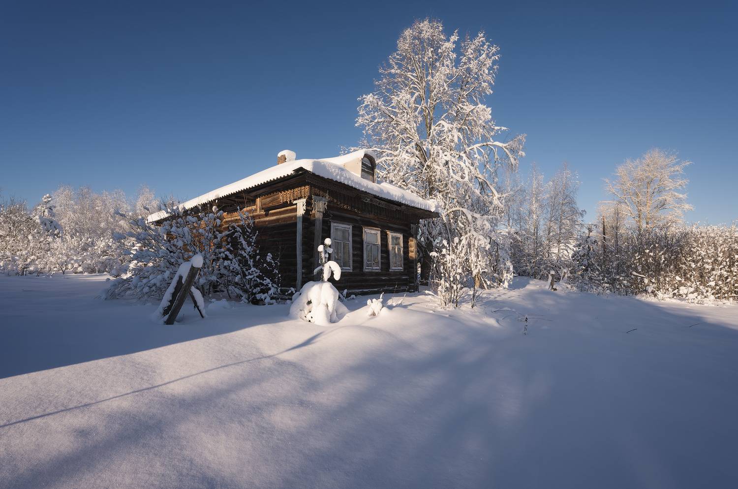 , Левыкин Виталий