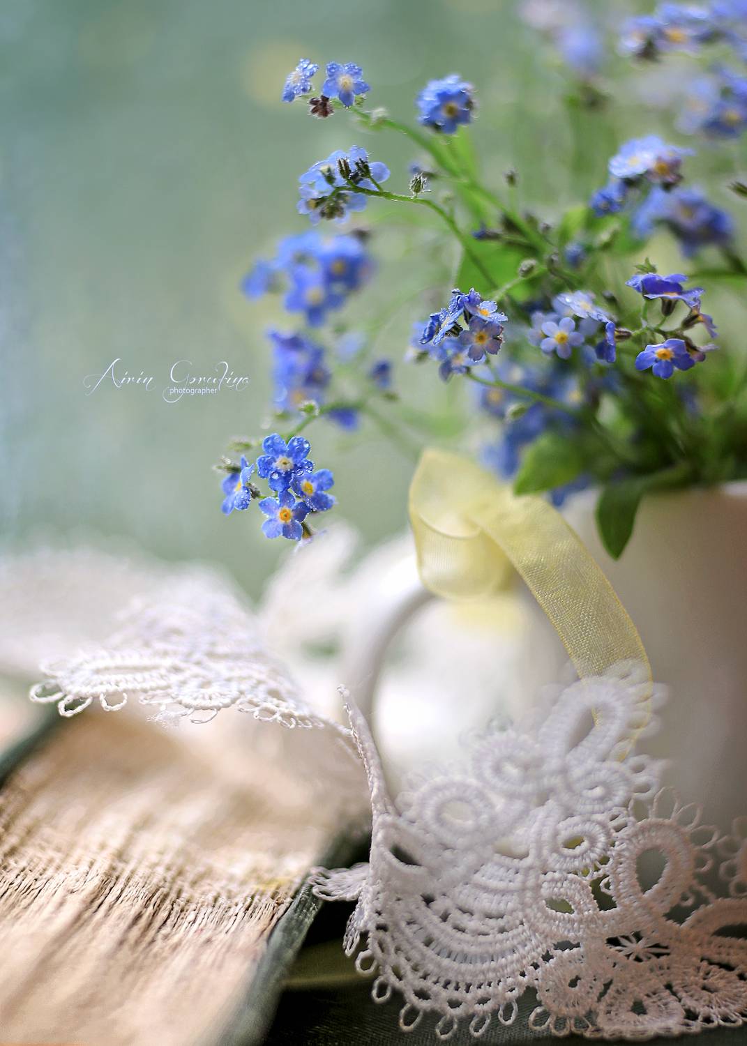 незабудки, кружево зимы,беларусь, ирина горюкина, гелиос 77-m-4, ГОРЮКИНА ИРИНА